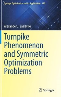 bokomslag Turnpike Phenomenon and Symmetric Optimization  Problems