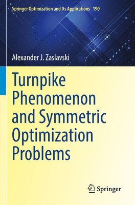 bokomslag Turnpike Phenomenon and Symmetric Optimization  Problems