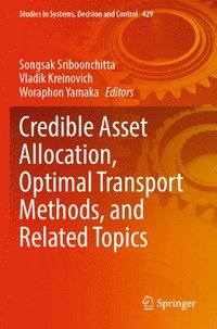 bokomslag Credible Asset Allocation, Optimal Transport Methods, and Related Topics