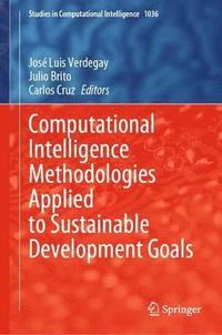 bokomslag Computational Intelligence Methodologies Applied to Sustainable Development Goals