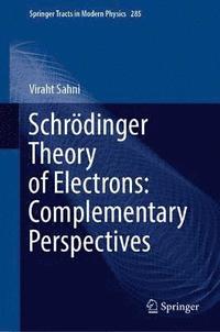 bokomslag Schrdinger Theory of Electrons: Complementary Perspectives