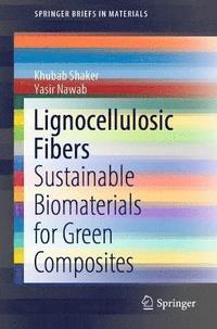 bokomslag Lignocellulosic Fibers