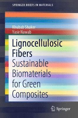 Lignocellulosic Fibers 1