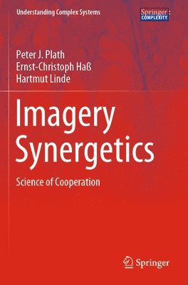 bokomslag Imagery Synergetics