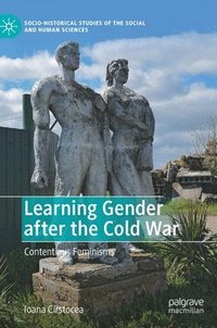 bokomslag Learning Gender after the Cold War