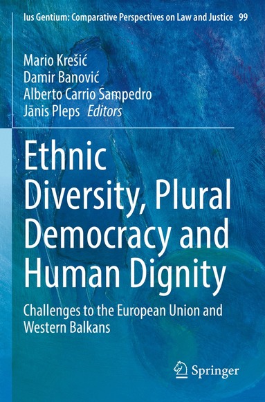 Mario Krešić, Damir Banović, Alberto Carrio Sampedro, Jānis Pleps - Ethnic Diversity, Plural Democracy and Human Dignity, Häftad
