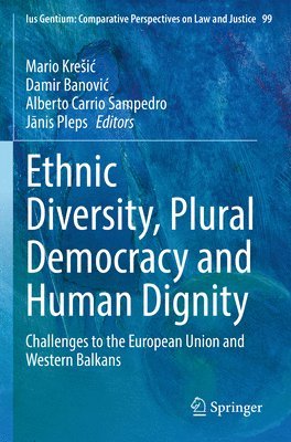 bokomslag Ethnic Diversity, Plural Democracy and Human Dignity