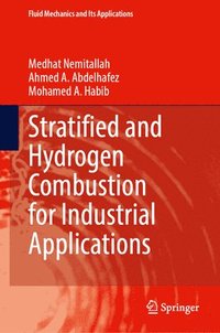 bokomslag Stratified and Hydrogen Combustion for Industrial Applications