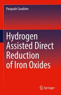bokomslag Hydrogen Assisted Direct Reduction of Iron Oxides