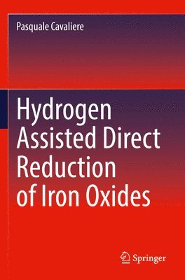 bokomslag Hydrogen Assisted Direct Reduction of Iron Oxides