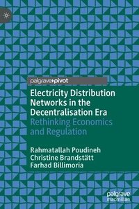 bokomslag Electricity Distribution Networks in the Decentralisation Era