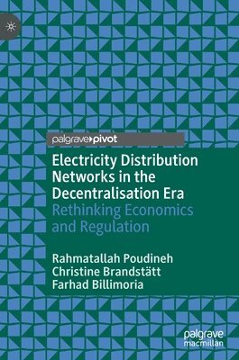 bokomslag Electricity Distribution Networks in the Decentralisation Era