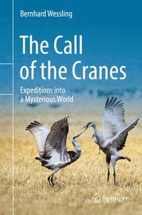 bokomslag The Call of the Cranes