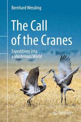The Call of the Cranes 1