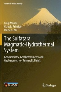 bokomslag The Solfatara Magmatic-Hydrothermal System