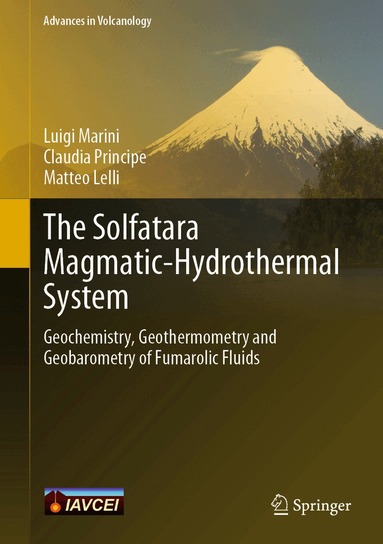 Luigi Marini, Claudia Principe, Matteo Lelli - Solfatara Magmatic-Hydrothermal System, Inbunden