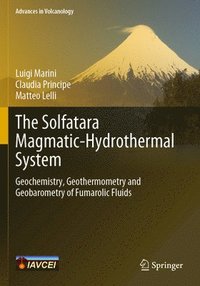 bokomslag The Solfatara Magmatic-Hydrothermal System