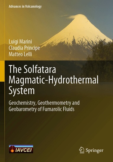 Luigi Marini, Claudia Principe, Matteo Lelli - Solfatara Magmatic-Hydrothermal System, Häftad
