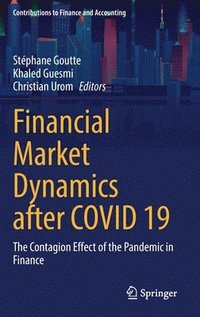 bokomslag Financial Market Dynamics after COVID 19