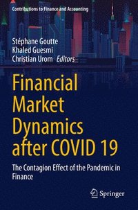 bokomslag Financial Market Dynamics after COVID 19