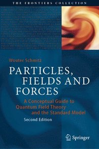 bokomslag Particles, Fields and Forces