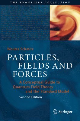 Particles, Fields and Forces 1