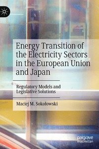 bokomslag Energy Transition of the Electricity Sectors in the European Union and Japan