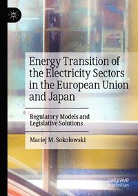 bokomslag Energy Transition of the Electricity Sectors in the European Union and Japan