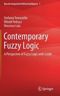 bokomslag Contemporary Fuzzy Logic
