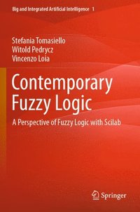 bokomslag Contemporary Fuzzy Logic