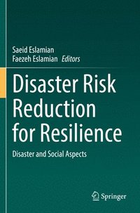 bokomslag Disaster Risk Reduction for Resilience