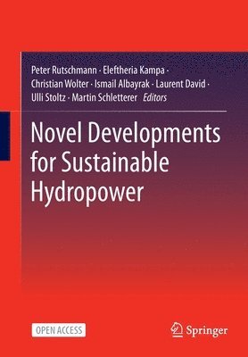bokomslag Novel Developments for Sustainable Hydropower