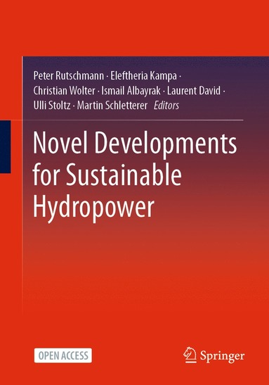 bokomslag Novel Developments for Sustainable Hydropower