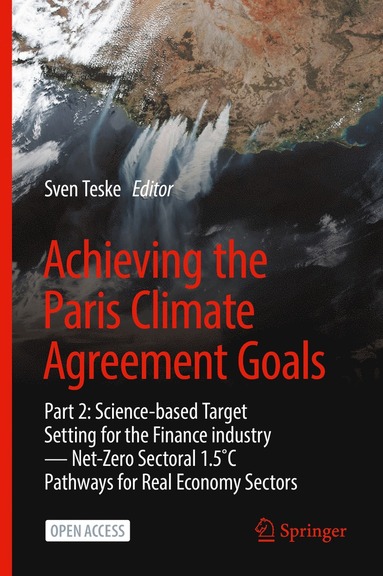 bokomslag Achieving the Paris Climate Agreement Goals