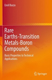 bokomslag Rare Earths-Transition Metals-Boron Compounds