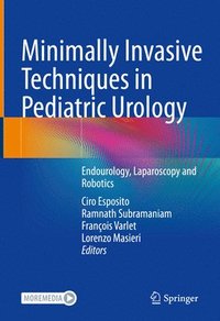 bokomslag Minimally Invasive Techniques in Pediatric Urology