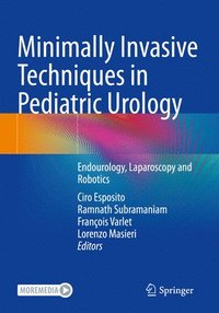 bokomslag Minimally Invasive Techniques in Pediatric Urology