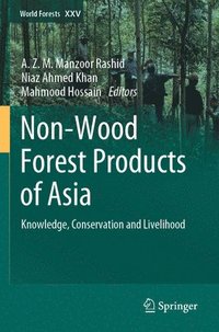 bokomslag Non-Wood Forest Products of Asia