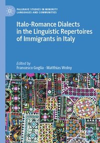 bokomslag Italo-Romance Dialects in the Linguistic Repertoires of Immigrants in Italy