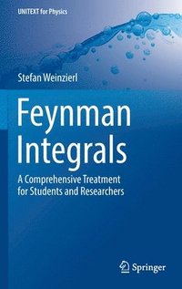 bokomslag Feynman Integrals