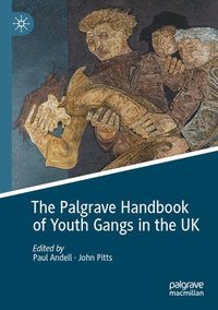 bokomslag The Palgrave Handbook of Youth Gangs in the UK