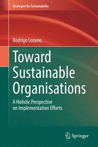 bokomslag Toward Sustainable Organisations