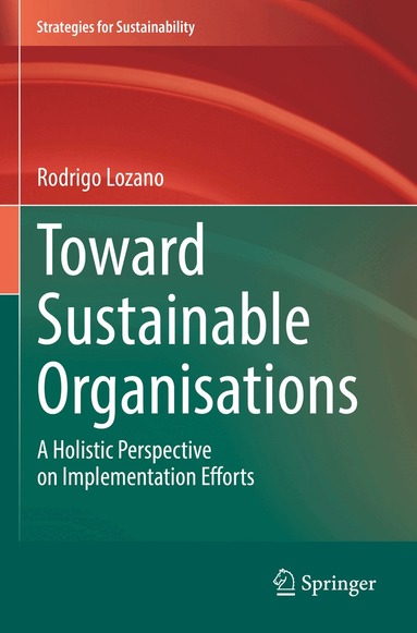 Rodrigo Lozano - Toward Sustainable Organisations, Häftad