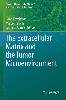 bokomslag The Extracellular Matrix and the Tumor Microenvironment