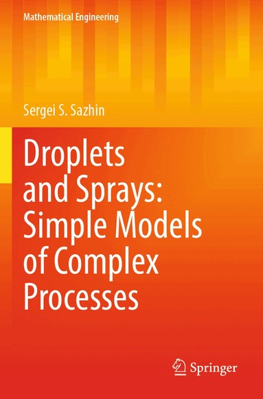 Sergei S. Sazhin - Droplets and Sprays: Simple Models of Complex Processes, Häftad