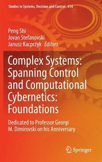 bokomslag Complex Systems: Spanning Control and Computational Cybernetics: Foundations