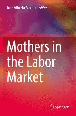 bokomslag Mothers in the Labor Market