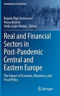 bokomslag Real and Financial Sectors in Post-Pandemic Central and Eastern Europe