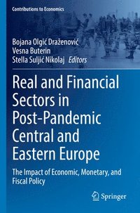 bokomslag Real and Financial Sectors in Post-Pandemic Central and Eastern Europe