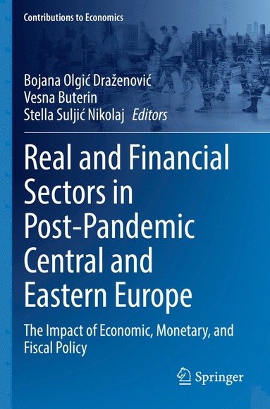 bokomslag Real and Financial Sectors in Post-Pandemic Central and Eastern Europe